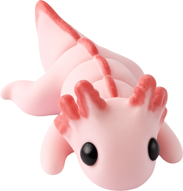 Axolotl, vista frente