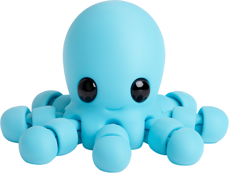 Pulpo, vista frente